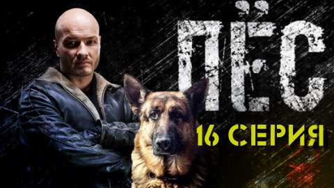«Пёс»: 16 серия | «Побег» | Сериалы НТВ