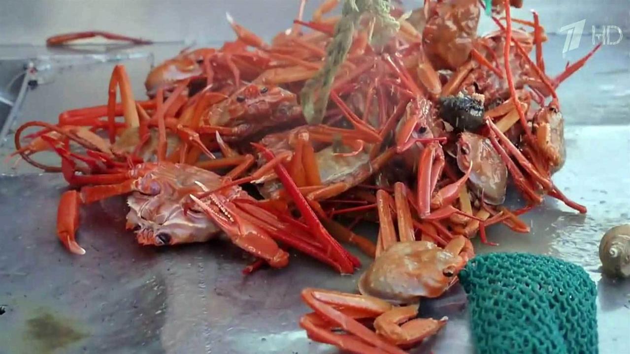 Какие изменения готовятся на рыбном рынке
