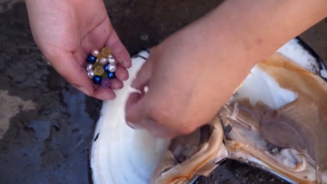 Pearl shells! Deep pool shells are washed to the shore along the stream смотреть онлайн