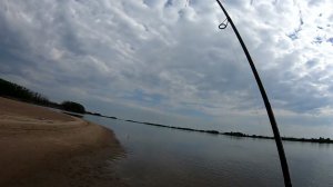 Поклёвка НЕвкусного ЖЕЛТОЩЁКА  Рыбалка на реке Амур Июнь 2023