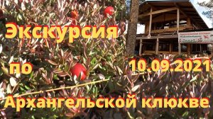 Экскурсия на Архангельскую клюкву 10.09.2021.mp4