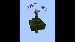 выживание на скай блоке №1