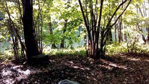 Как Собрать Орехи Фундук.7 кг за 2 часа.