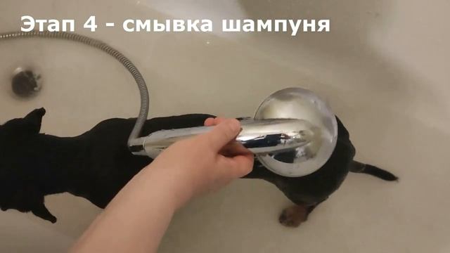 Избавляемся от шерсти или экспресс-линька для собак