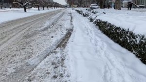 Забрать дорогу у авто и отдать самокатам ! А как самодурствуют чиновники у вас ? ??