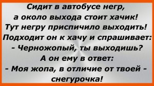 Сидит в автобусе негр, а около выхода стоит хачик! Анекдоты до слез.  183