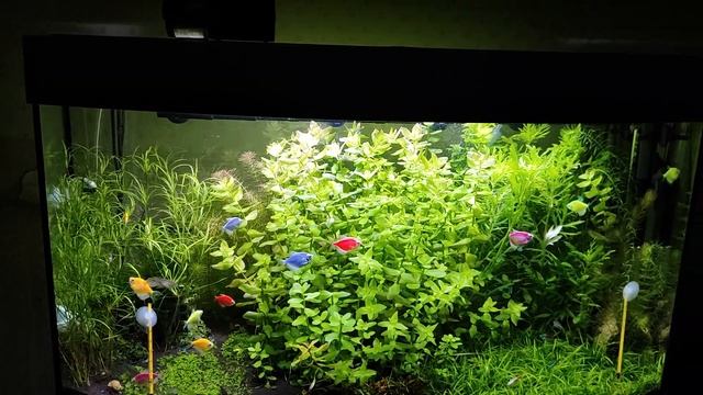 4. Зелёный синдром #АкваПро смотреть онлайн