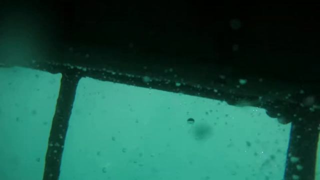 6-ти метровая Большая Белая Акула