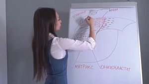 Строение ногтя