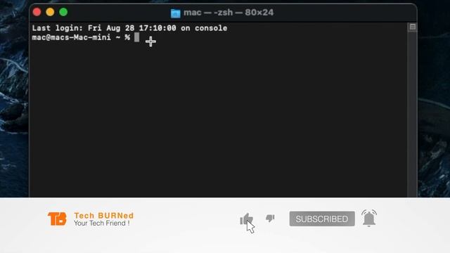 How To Flush DNS Cache on macOS Catalina and Big Sur and Monterey !  ll Tech BURNed ll