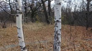 По дороге за хлебушком!Место столыпинской дачи.Рассказывает Сергей Уткин.