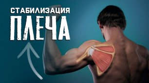 Как укрепить плечевой сустав? Упражнения для  стабилизации и укрепления плеча.