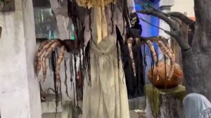 Darling Dolly - Spirit Halloween 2023 (in store) Demo