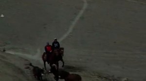 АРХИВ.ПРАЗДНИК СПОРТА И ПЕРВОЙ БОРОЗДЫ В СЕЛЕНИЕ ТЕЛЕТЛЬ ШАМИЛЬСКОГО РАЙОНА