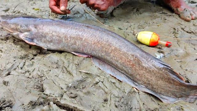 Hook Fishing - Traditional Hook Fishing - MR Fishing Life (Part-368) смотреть онлайн