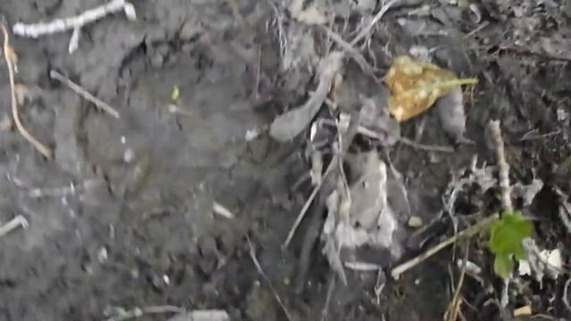 СЛЕДОПЫТ смотреть онлайн