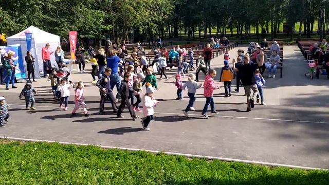 "Уроки танцев в парке",4.8.19 смотреть онлайн