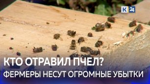Из-за обработки полей химикатами произошел массовый мор пчел на Кубани