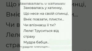 Всесвітній день черепахи. Загадки про черепаху.