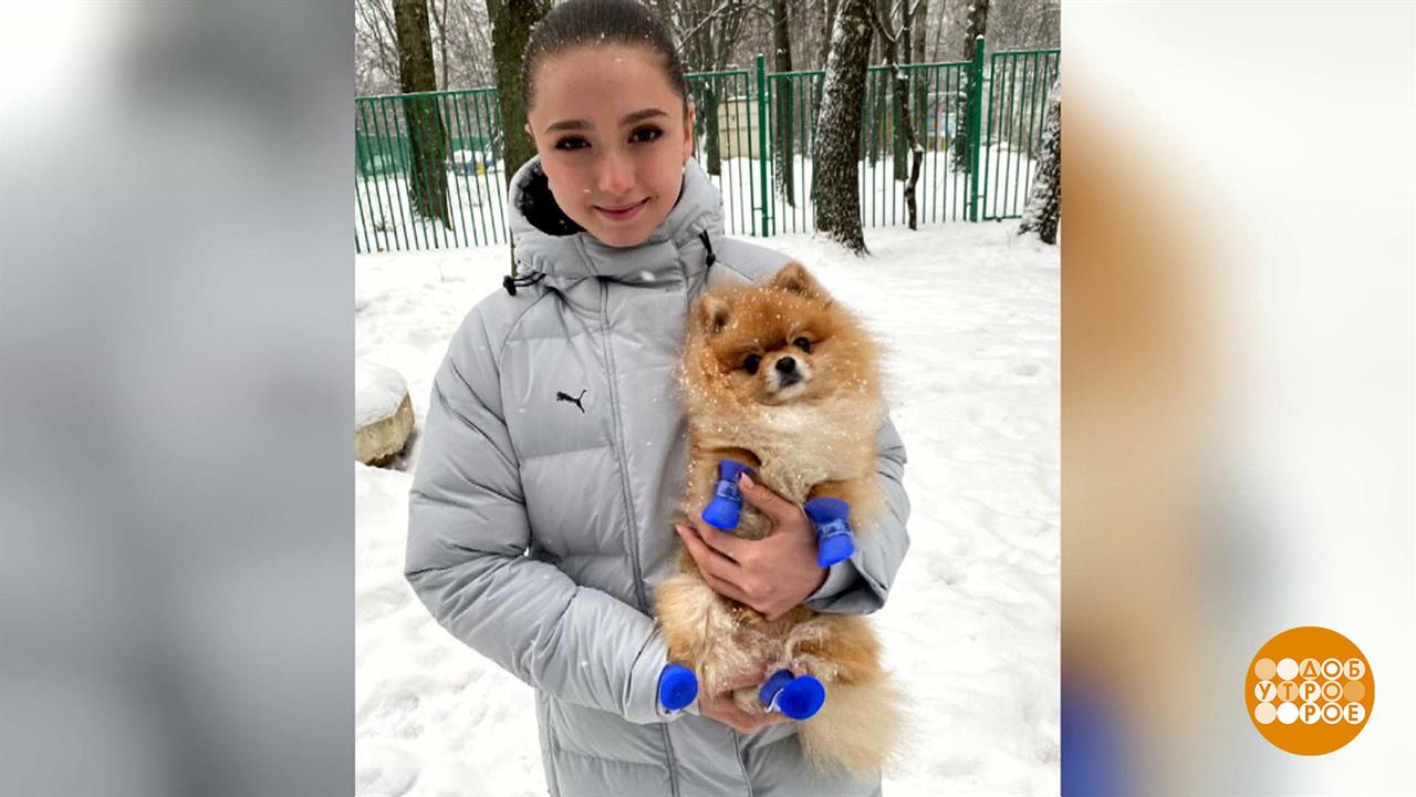 Пять собак Александры Трусовой и Лев Камилы Валиевой. Доброе утро. Фрагмент выпуска от 17.02.2022