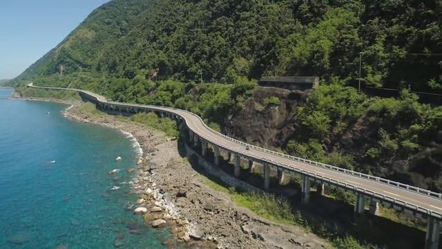 Самка кита выбросилась на берег, когда вспороли её брюхо - ВСЕ ОБОМЛЕЛИ