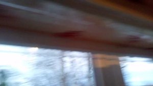 фитолампу повесить на окно легко