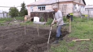 Спец-лопата, у кого болит спина