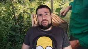 Карника.СARNIСA. порода пчел Опыт работы. Насколько она хороша Как выбрать линию