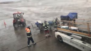 Работники года  (аэропорт Борисполь)