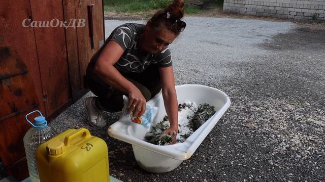 Папоротник Орляк, ответы на вопросы. Часть 2 - засолка... смотреть онлайн