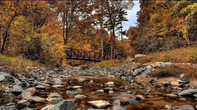 ДОБРОЕ ДЕЛО. Настоящий ДОБРОДЕЛ - Лена.  | Правдивая Ольга. Мое мнение.