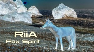 RIIA - FOX SPIRIT // DEEP // AFRO // DOWNTEMPO // 2024