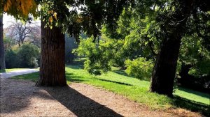 Доброе утро в Париже