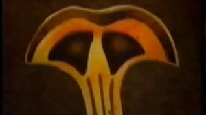 Плоские черви 1