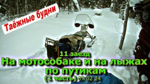 11 заезд На мотособаке и на лыжах по путикам (1 часть) 07 02 24