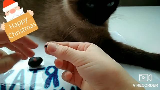 Как слепить хомяка из пластилина смотреть онлайн