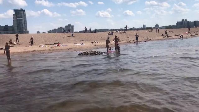 Пляж на Ваське СПб смотреть онлайн
