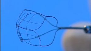 Цистоскоп гибкий Flexible Ureteroscope Product Demo