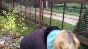 Как подготовить хосты к зиме