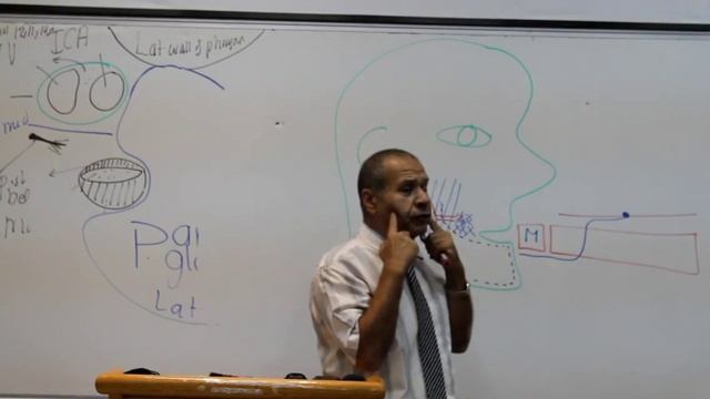 GIT Block Lec1 Prof Wagih "female" part 11 end смотреть онлайн