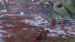 Скип Истинной монахини в Sekiro