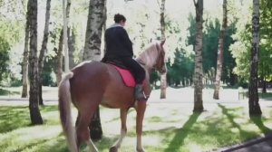 Отдых в гармонии с природой и собой