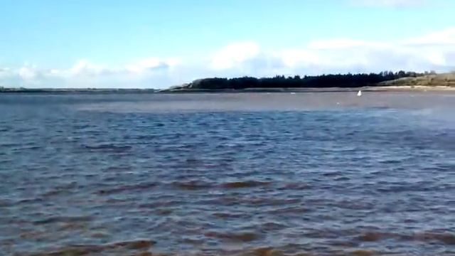 31 августа 2016 г. смотреть онлайн