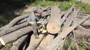 ТЕСТ/БЕНЗОПИЛА/Champion 254-18/ OREGON