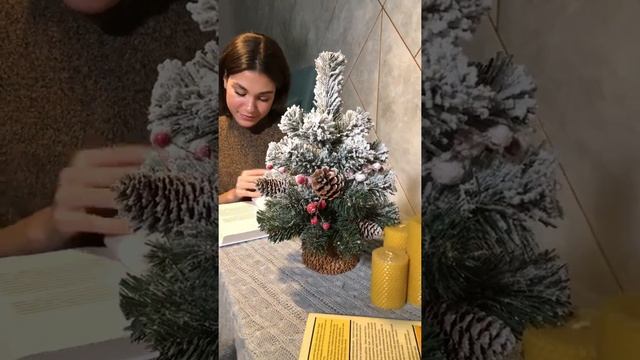 Заснеженная искусственная елка с шишками и ягодами на пеньке смотреть онлайн