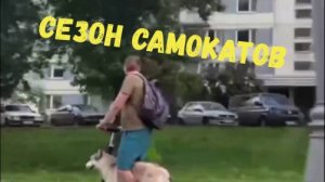 СЕЗОН САМОКАТОВ \\падения,столкновения,возгорания батарей\дети на велосипедах\сочинские быки\