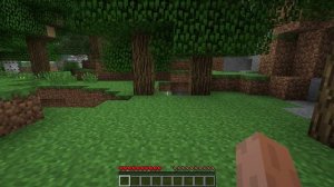 как создать локальную сеть в minecraft