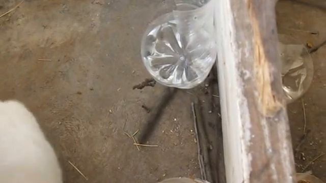 Видео 188.Клетки для кроликов своими руками из под холодильников .Голь на выдумки хитра.