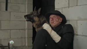 Гнездилов смешные моменты, пёс, пес2, пес3, пес4, пес5, пес6