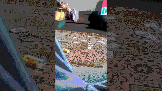 Вёл Какашка